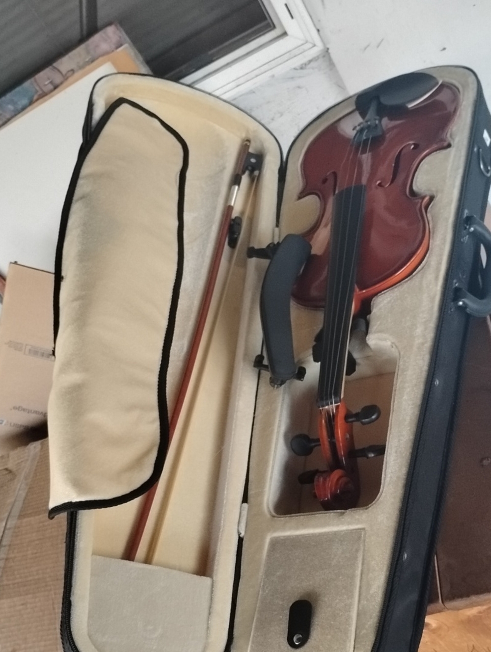 Full-Size Violin in Rich Brown with Case and Bow